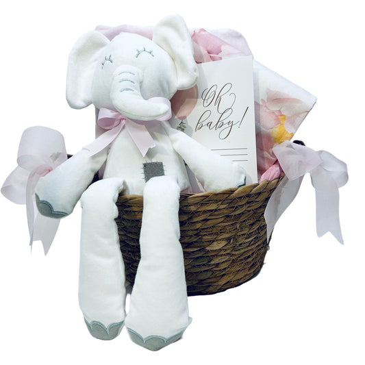 Newborn Baby Girl Gift Basket - 65