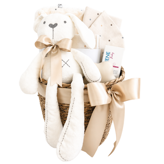 Newborn Gift Basket 100