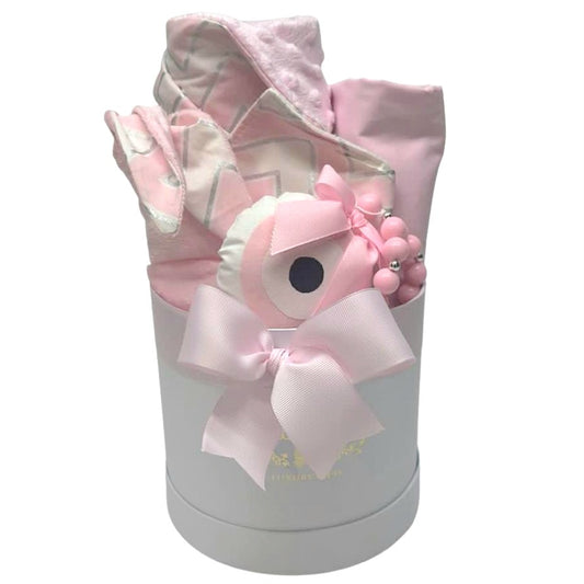 Newborn Gift Box 65