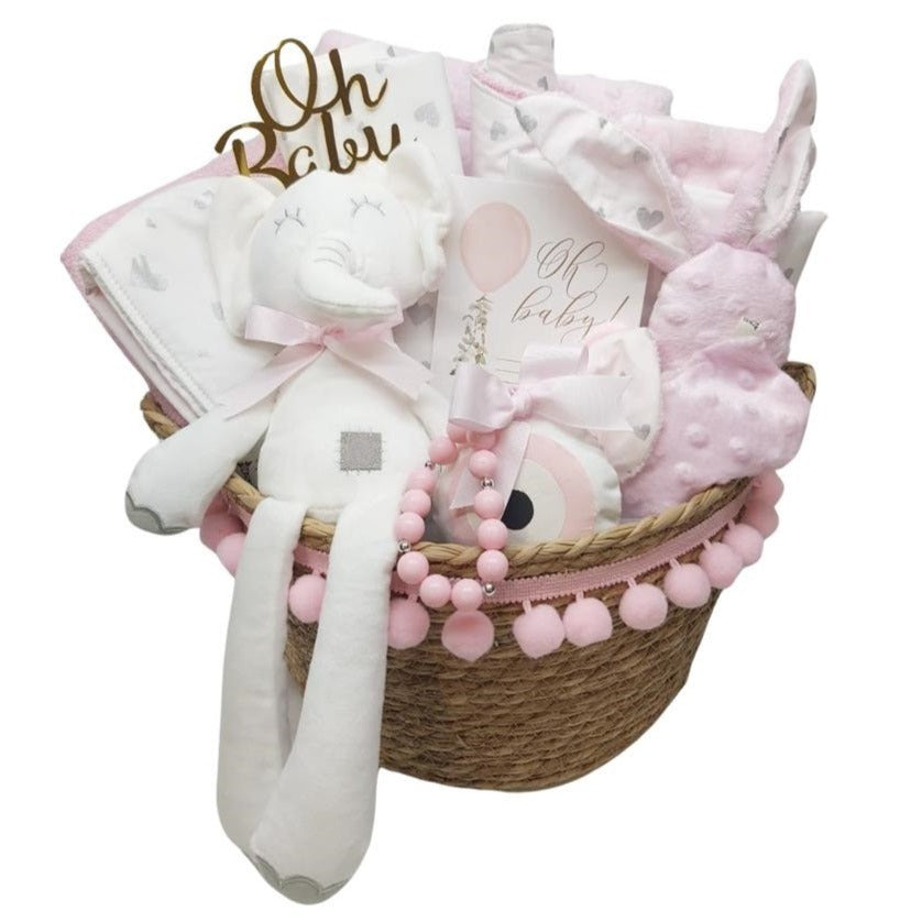 Newborn Gift Basket 170 - Girl